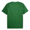 Maillot Foot Manchester City Pre-Match Verte 2025-26