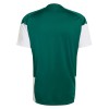 Italie Coupe du Monde 2026 Maillot d'Entraînement Verte