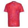Maillot Foot Costa Rica Domicile Coupe du Monde 2026