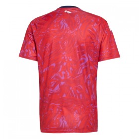 Maillot Foot Costa Rica Domicile Coupe du Monde 2026