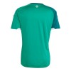 Maillot Foot Irlande Du Nord Domicile Coupe du Monde 2026