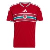 Maillot Foot Pays de Galles Domicile Coupe du Monde 2026 Maillot Foot Pays de Galles Domicile Coupe du Monde 2026