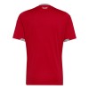 Maillot Foot Pays de Galles Domicile Coupe du Monde 2026