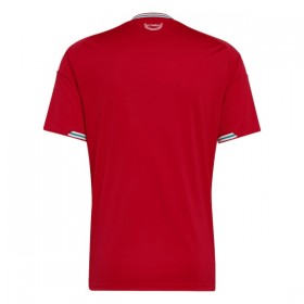 Maillot Foot Pays de Galles Domicile Coupe du Monde 2026