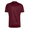 Maillot Foot Venezuela Domicile Coupe du Monde 2026