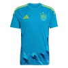 Maillot Foot Espagne Gardien Coupe du Monde 2026 Maillot Foot Espagne Gardien Coupe du Monde 2026