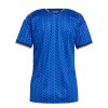 Maillot Foot Femme Italie Domicile Coupe du Monde 2026