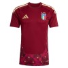 Maillot Foot Italie Gardien Domicile Coupe du Monde 2026 Rouge Maillot Foot Italie Gardien Domicile Coupe du Monde 2026 Rouge