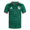 Maillot Foot Mexique Domicile Coupe du Monde 2026 Maillot Foot Mexique Domicile Coupe du Monde 2026