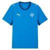Maillot Foot Islande Domicile Coupe du Monde 2026 Maillot Foot Islande Domicile Coupe du Monde 2026
