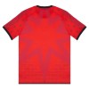 Maillot Foot Venezia Quatrième 2025-26