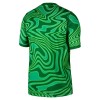 Maillot Foot Brésil Gardien Domicile Coupe du Monde 2026 Verte