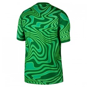 Maillot Foot Brésil Gardien Domicile Coupe du Monde 2026 Verte