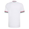 Maillot Foot Hongrie Exterieur Coupe du Monde 2026