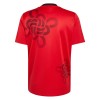 Maillot Foot Manchester United Cultural Story 2025-26
