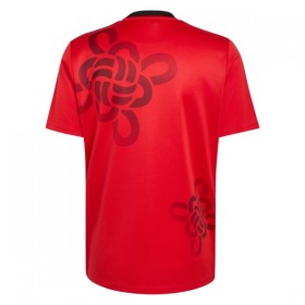 Maillot Foot Manchester United Cultural Story 2025-26