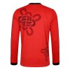Maillot Foot Manchester United Cultural Story 2025-26 ML