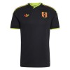 Maillot Foot Pérou Exterieur Coupe du Monde 2026 Maillot Foot Pérou Exterieur Coupe du Monde 2026