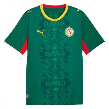 Maillot Foot Sénégal Exterieur Coupe du Monde 2026