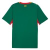 Maillot Foot Sénégal Exterieur Coupe du Monde 2026