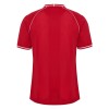 Tenue Enfant Danemark Domicile Coupe du Monde 2026 (+ Short)