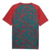 Maillot Foot Portugal Pre-Match Coupe du Monde 2026 Rouge