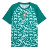 Maillot Foot Portugal Pre-Match Coupe du Monde 2026 Verte Maillot Foot Portugal Pre-Match Coupe du Monde 2026 Verte