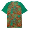 Maillot Foot Côte d Ivoire Pre-Match Coupe du Monde 2026