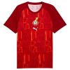Maillot Foot Ghana Pre-Match Coupe du Monde 2026 Maillot Foot Ghana Pre-Match Coupe du Monde 2026