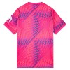 Maillot Foot Tottenham Hotspur Gardien Domicile Rose 2026-27