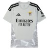 Maillot Foot Benfica Gardien Grise 2026-27